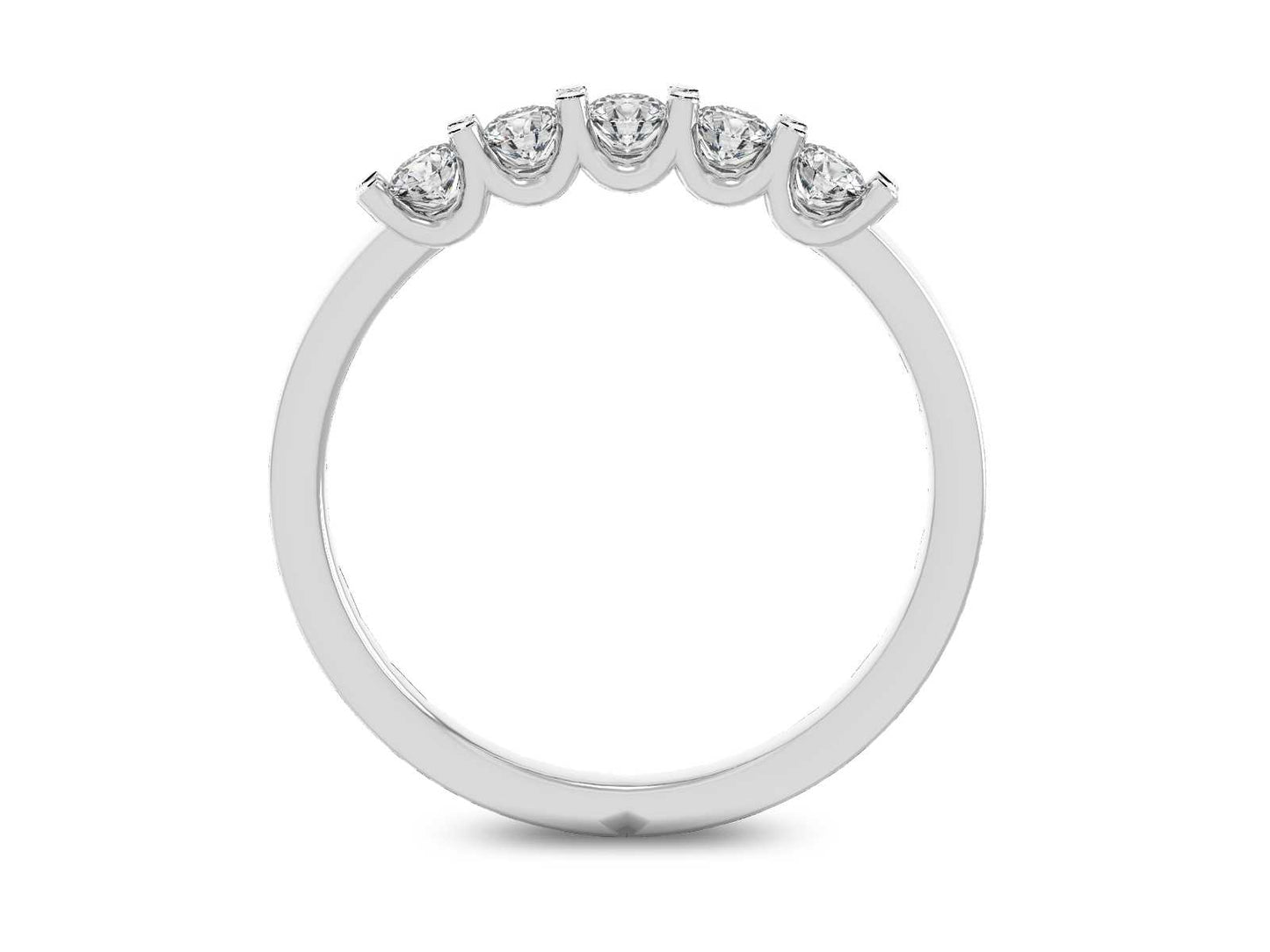 ANNIVERSARY BAND AB1300RDSUP5-2.6