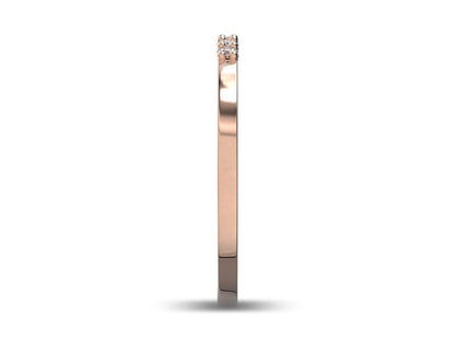 ANNIVERSARY BAND AB1002RDSP-5S-1.55